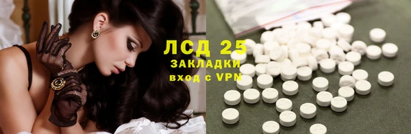 мяу мяу мука Аркадак