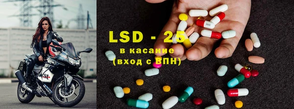 мяу мяу мука Аркадак